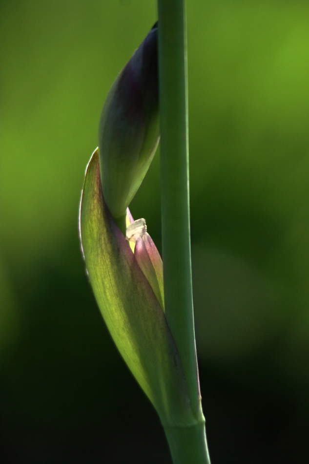 2015 05 10 HTP 000051716e